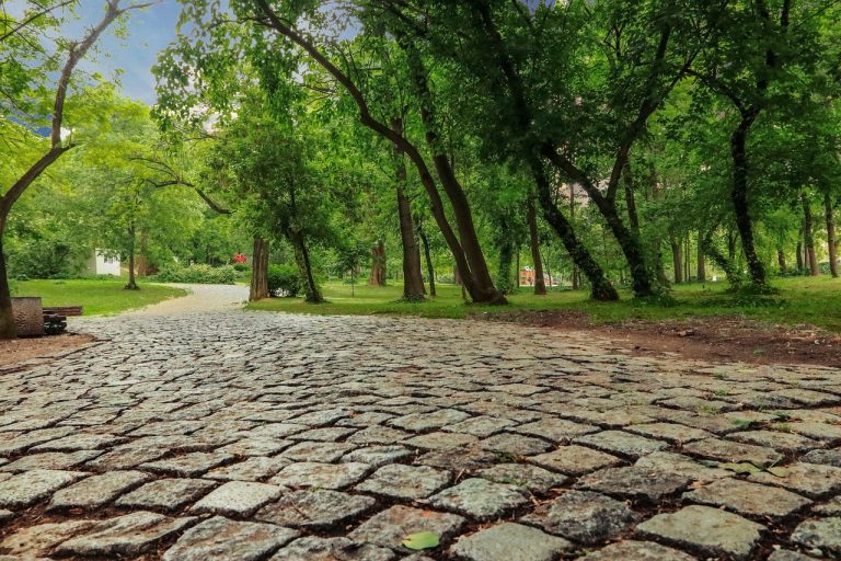 TalkBack dezactivare cum sa opresti functia de accesibilitate